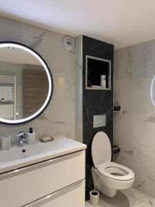 布雷西尔Superbe appartement JO 2024的一间带卫生间、水槽和镜子的浴室