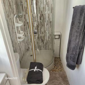 维约堡Grand Vue Apartment Vieux Fort的带淋浴的浴室以及带帽子的卫生间。