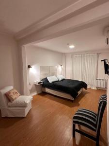 萨尔塔Hotel Los Aceres的一间卧室配有一张床、一张沙发和一把椅子