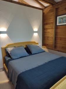 勒卡尔贝VillAnolis Martinique的一间卧室配有一张带两个蓝色枕头的床