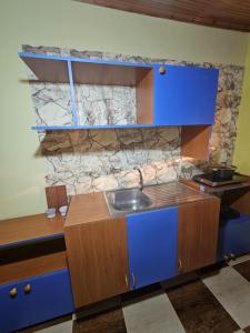 克鲁亚Voga Guesthouse的一个带水槽和石墙的厨房