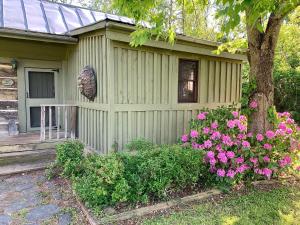 Buena VistaHeartstone Country Retreat的绿屋,树旁有粉红色的花