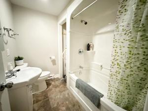 圣约翰Gorgeous Condo in SJ w Coffee Wi-FI的一间带水槽和淋浴帘的浴室