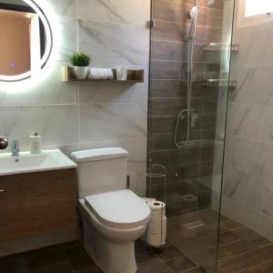 圣佩德罗-德马科里斯Apartamento moderno, guabaverry的带淋浴、卫生间和盥洗盆的浴室