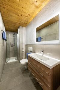 贝希特斯加登Haus Vogl的一间带水槽、卫生间和淋浴的浴室