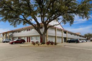 欧文Red Roof Inn & Suites Irving - DFW Airport South的停车场里一棵树的大型建筑