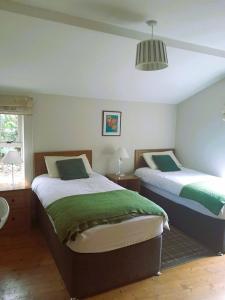 Ballyorgan贝利豪拉度假屋的一间卧室配有两张床和吊灯