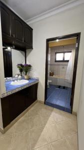 塔里哈Apartamento Maracuyá en Tarija的浴室配有卫生间、盥洗盆和淋浴。
