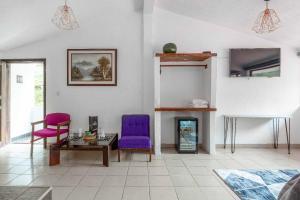 帕帕亚克塔Hosteria Pampallacta的客厅配有紫色椅子和壁炉