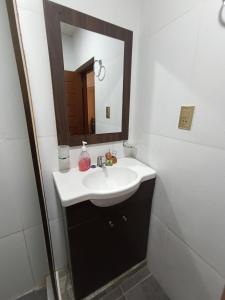 波托西Apartamento cómodo的一间带水槽和镜子的浴室