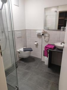 腓特烈港Hotel Stock Bäumle的浴室配有卫生间、盥洗盆和淋浴。