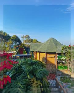 LíbanoHostal Camino Viejo的花园中带绿色屋顶的小房子