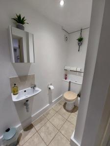 伦敦Large Serene Victorian Abode in Central London的白色的浴室设有卫生间和水槽。