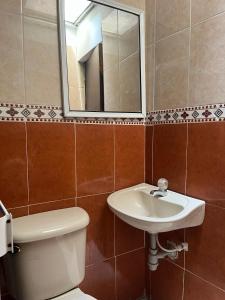 比亚维森西奥Hotel Villa Sofia的一间带水槽、卫生间和镜子的浴室