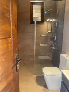 锡吉里亚Lion Gate Hotel Sigiriya的浴室设有玻璃淋浴间和卫生间
