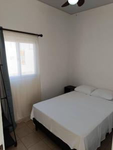 圣安娜Mini casa Ecoterra Santa Ana的卧室配有白色的床和窗户。
