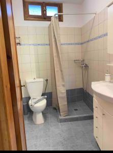 斯基亚索斯镇PORT SEA VIEW - SKIATHOS的一间带卫生间和水槽的浴室