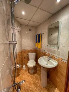科普里夫什迪察Guest rooms Colorit的浴室配有卫生间、盥洗盆和淋浴。