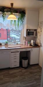海勒福什Villa Svalan的厨房配有水槽、微波炉和窗户