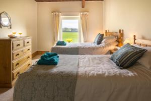 LlanllwchaiarnBrynonnen Nanternis的卧室设有两张床,带窗户