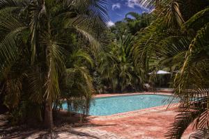 卢萨卡Waterfalls hotel (Lusaka)的棕榈树环绕的游泳池