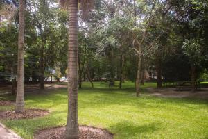 卢萨卡Waterfalls hotel (Lusaka)的草上种有棕榈树的公园