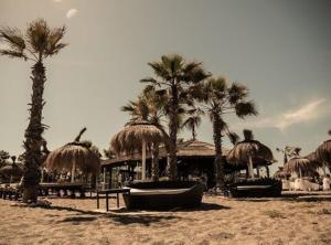 托雷加迪亚罗Beach and Golf House Sotogrande - Torreguadiaro的海滩上的棕榈树群,与度假村