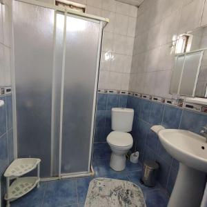 贝尔迪比Apt. 1+1, Beldibi. 17 км от Кемера. Есть всё необходимое для жизни.的浴室配有卫生间、淋浴和盥洗盆。