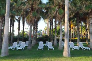 锡德Miramare Beach Hotel - Ultra All Inclusive的棕榈树下一排白色椅子
