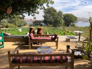 阿斯旺Salatoos Mango Camp的两把木凳子和枕头放在院子内