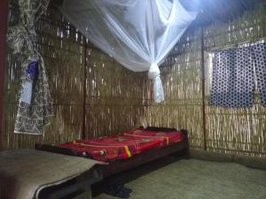NyakinamaRed Rocks Rwanda - Bamboo Cottage的稻草小屋内的一个床位