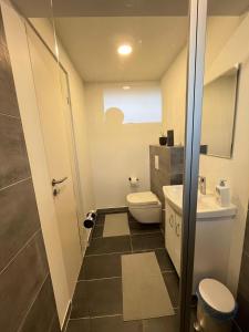 比伦德Dedicated Bedroom & Bathroom in Billund near Lego House & Legoland的浴室配有卫生间、盥洗盆和淋浴。