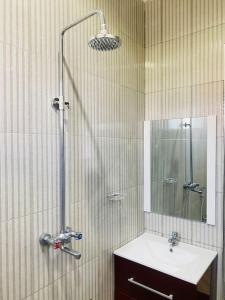 KisongoVenem Ensuite bathroom Elephant house的带淋浴、水槽和镜子的浴室