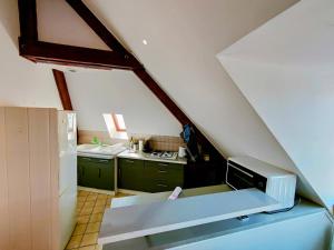欧塞尔Home - Jean Jaurés - Séjour à Auxerre的厨房配有绿色橱柜和白色冰箱