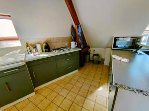 欧塞尔Home - Jean Jaurés - Séjour à Auxerre的厨房配有绿色橱柜、水槽和冰箱。