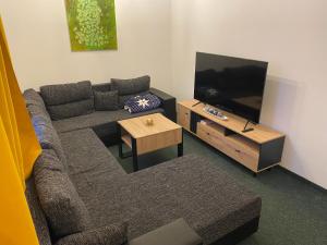 姆拉代布基Apartmán - Dovolená Mladé Buky的带沙发和平面电视的客厅