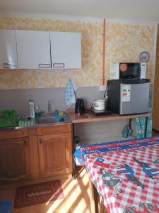 蓬塔阿雷纳斯Lenga的厨房配有水槽和带微波炉的台面。