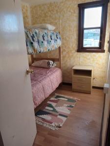 蓬塔阿雷纳斯Lenga的一间卧室配有双层床和地毯。