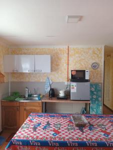 蓬塔阿雷纳斯Lenga的厨房配有1张床和1个带微波炉的台面