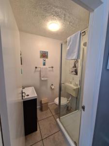 斯凯格内斯Beachdene Guest House的带淋浴、卫生间和盥洗盆的浴室