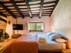 阿尔武希耶斯Masia de Can Ferrer的一间卧室设有一张大床和一个窗户。