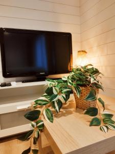 Lignièreschalet bois cosy et chaleureux的墙上的平面电视,有盆栽植物