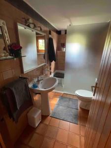 OdenCal Pastor的一间带水槽、卫生间和镜子的浴室
