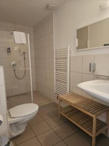 吕德斯海姆莱因斯坦酒店的一间带卫生间和水槽的浴室
