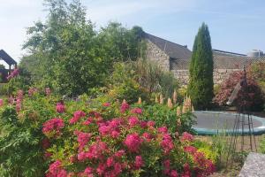 塔洛Grove Cottage at The Lodge的一座种有粉红色花卉和池塘的花园
