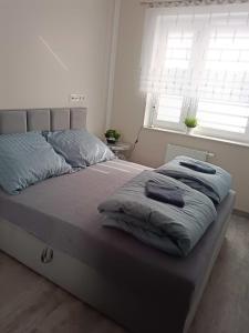 弗罗茨瓦夫Apartament Zielony Zakątek Wrocław的卧室内的一张带两个枕头的床