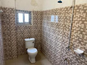 巴马科Appartement Studio Damou的一间带卫生间和淋浴的浴室