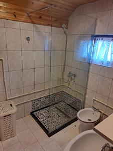 扎布利亚克扎布利亚克山林小屋的带淋浴、水槽和卫生间的浴室