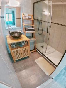 塔布La Caravelle - Chalet t2 climatisé lit queen size ou twin的一间带水槽和淋浴的浴室
