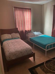 Long SwampTop of the Hill Blue Sunshine的一间卧室设有两张床和窗户。